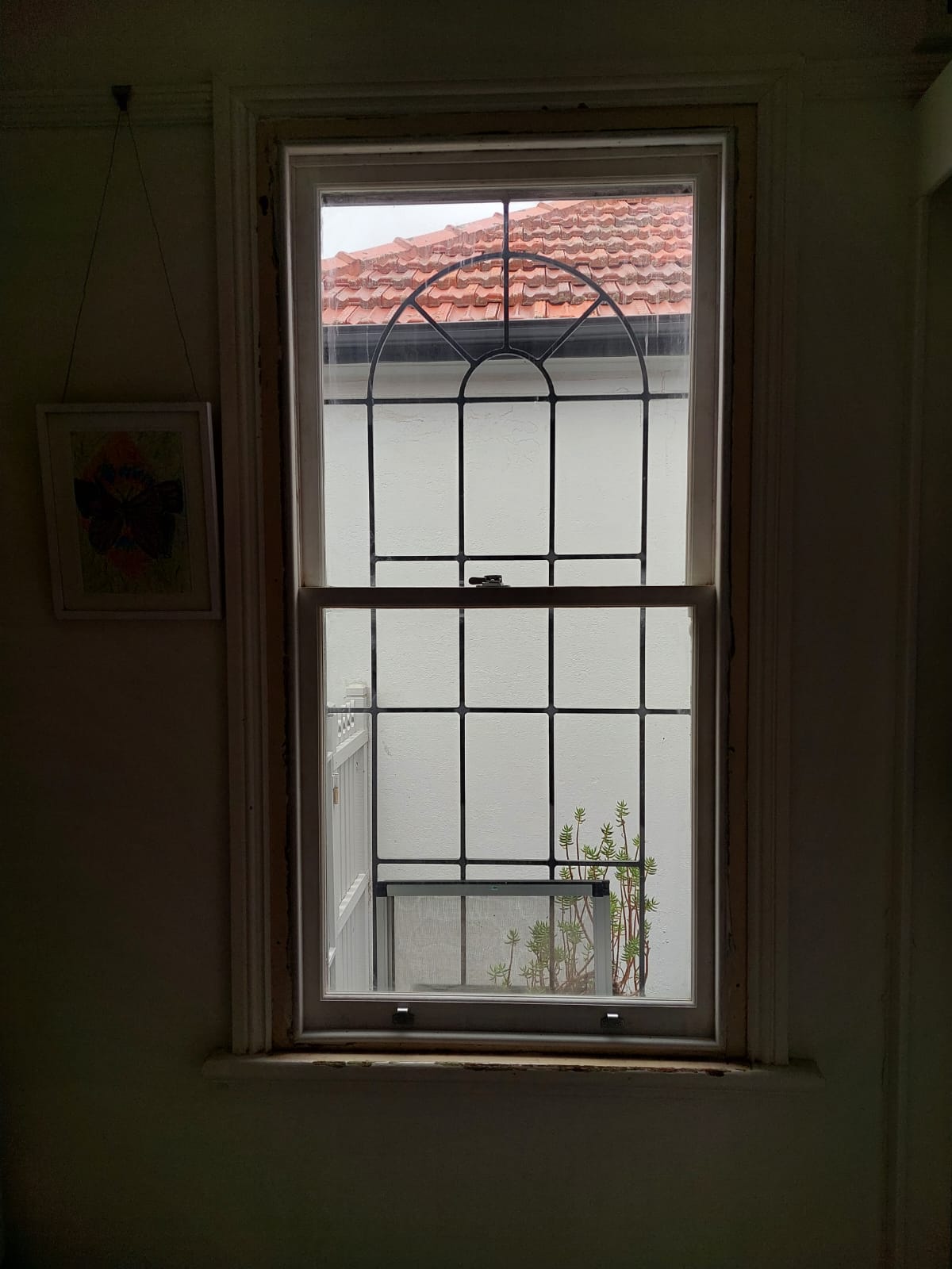 window installation petersham